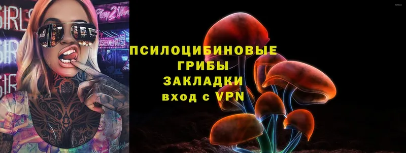 mega ONION  Вельск  Галлюциногенные грибы Psilocybe 